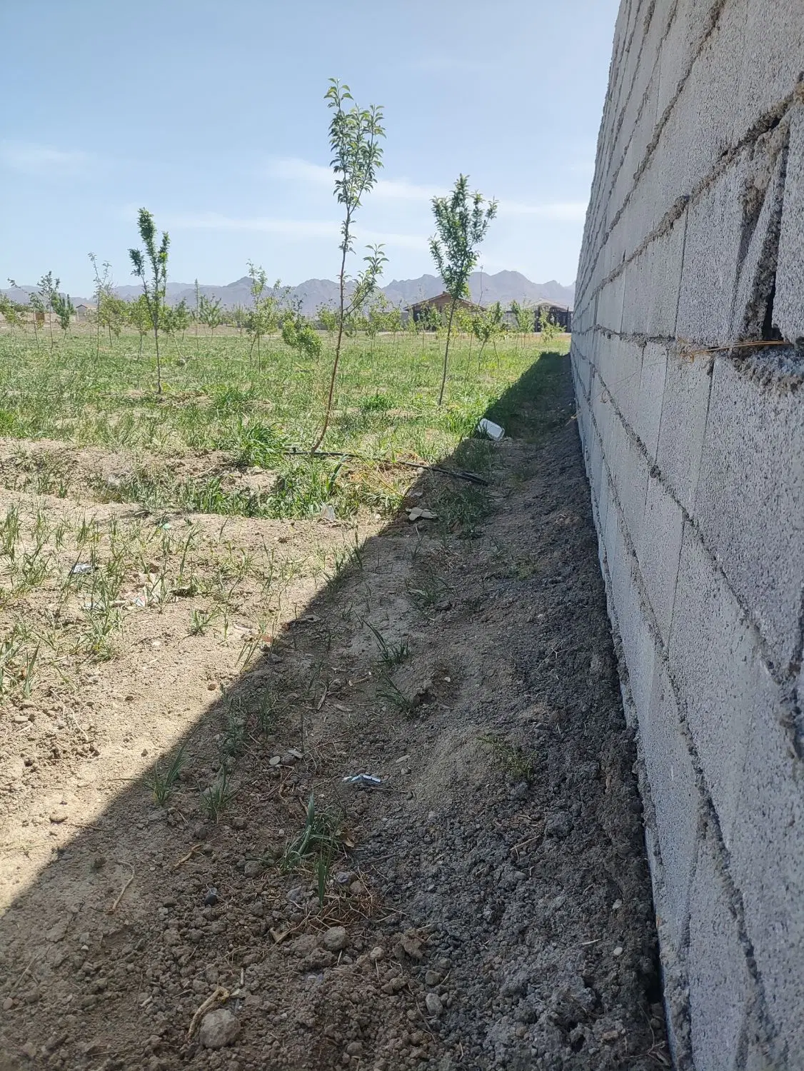 باغ ویلایی 425متری سند داره - Ansicht 2