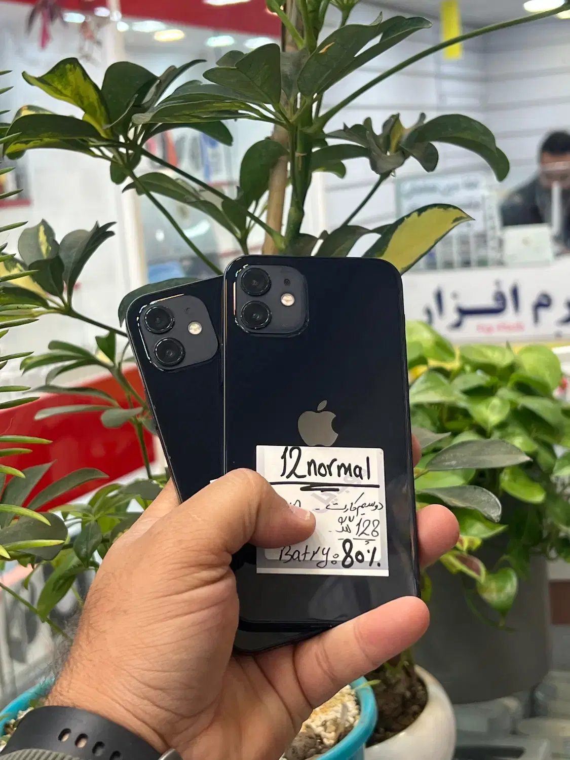 iPhone 12|موبایل|شیراز, زند|دیوار