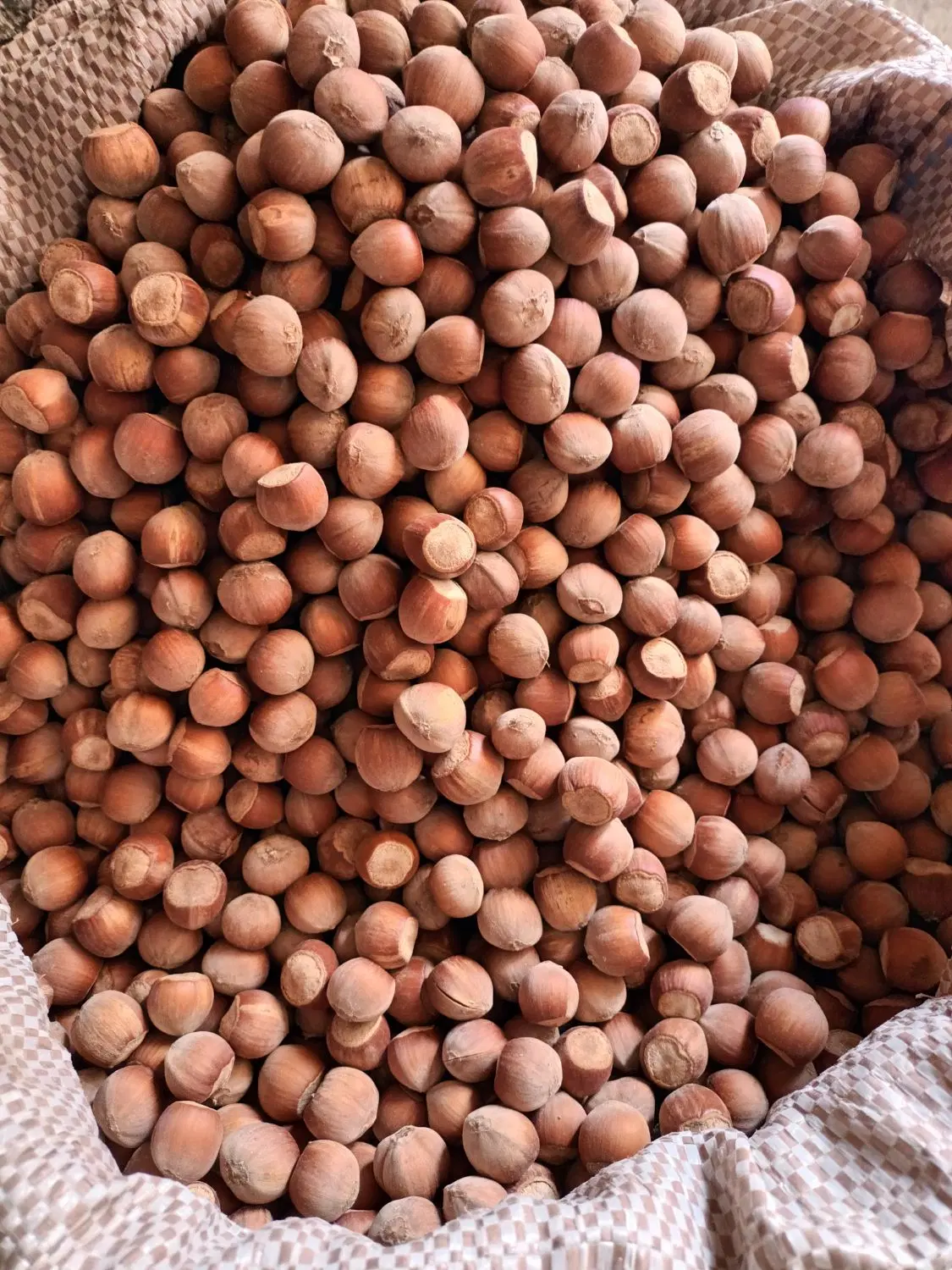 فندق|خوردنی و آشامیدنی|اسکو, |دیوار