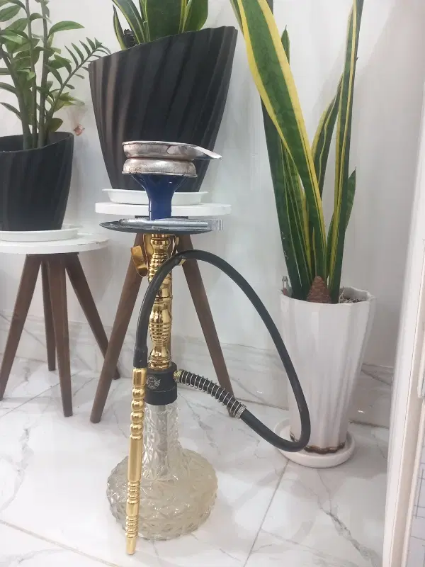 قلیون|کلکسیون و سرگرمی|تاکستان, |دیوار