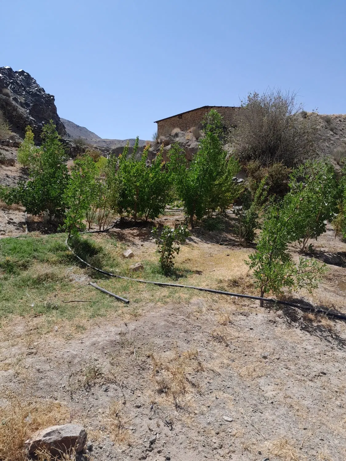تصویر 5