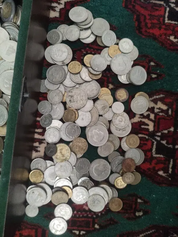 سکه|کلکسیون سکه، تمبر، اسکناس|تهران, درختی|دیوار