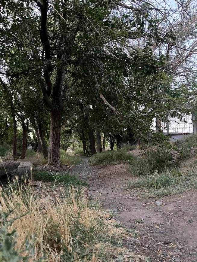 تصویر 9