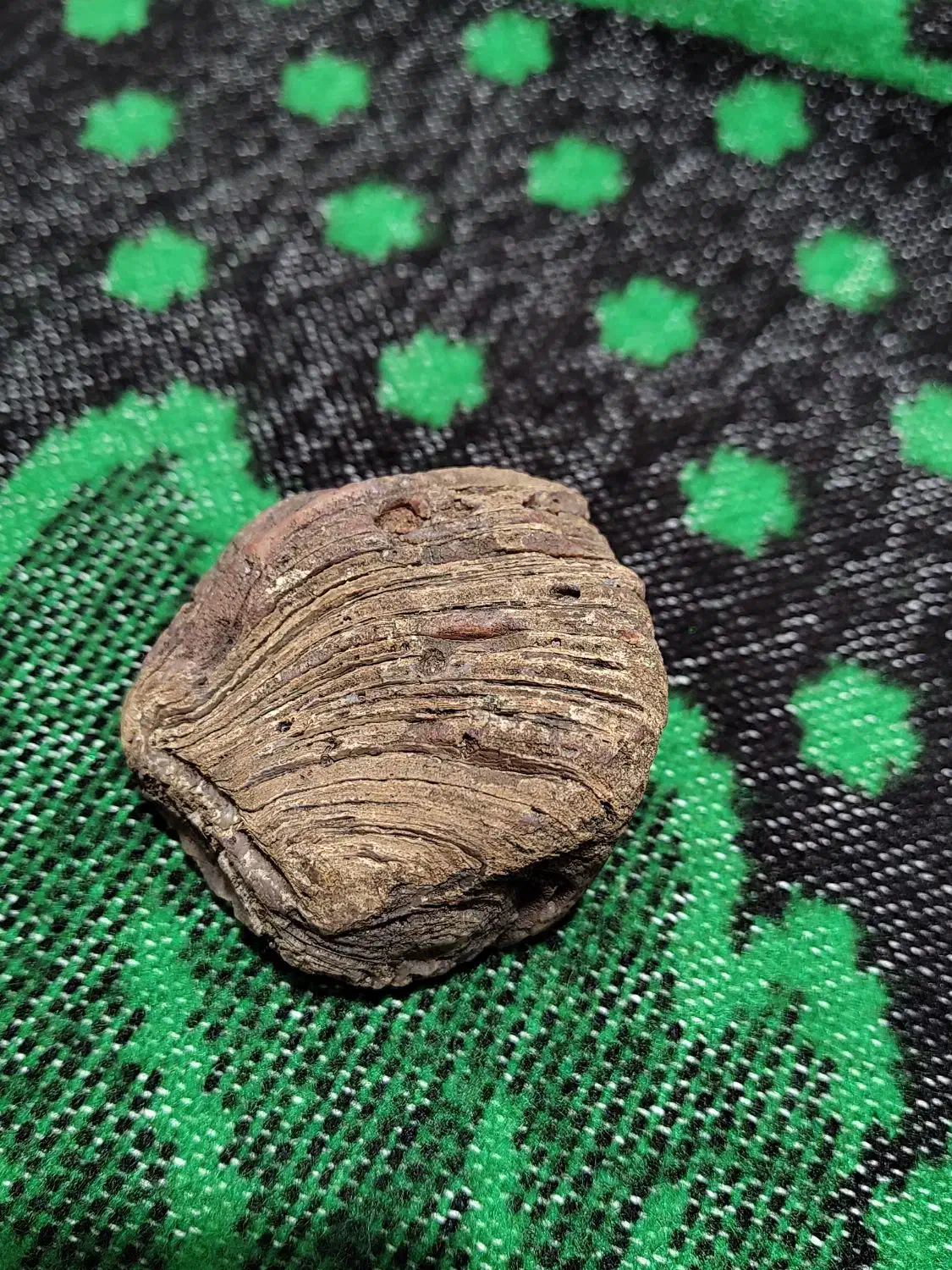 سنگ قیمتی|جواهرات|تهران, عباسی|دیوار