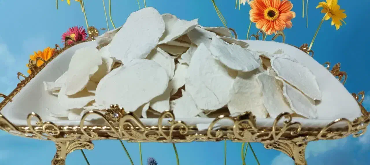 کشک|خوردنی و آشامیدنی|اراک, |دیوار
