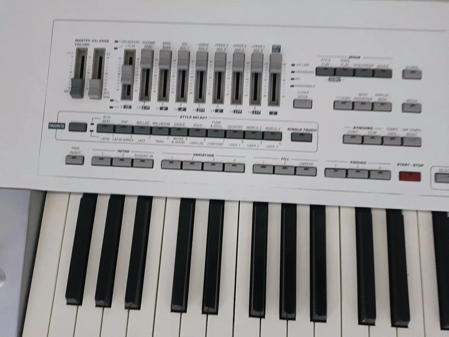 pa2x korg|پیانو، کیبورد، آکاردئون|سبزوار, قاضی زاد|دیوار