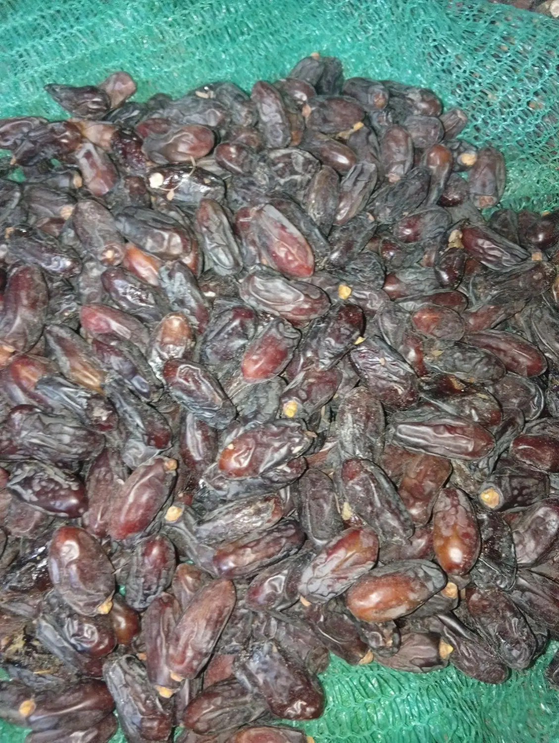 خرما|خوردنی و آشامیدنی|نیشابور, دارایی|دیوار