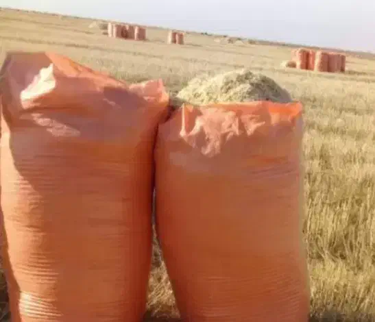 کاه گندم|حیوانات مزرعه|کوهنجان, |دیوار