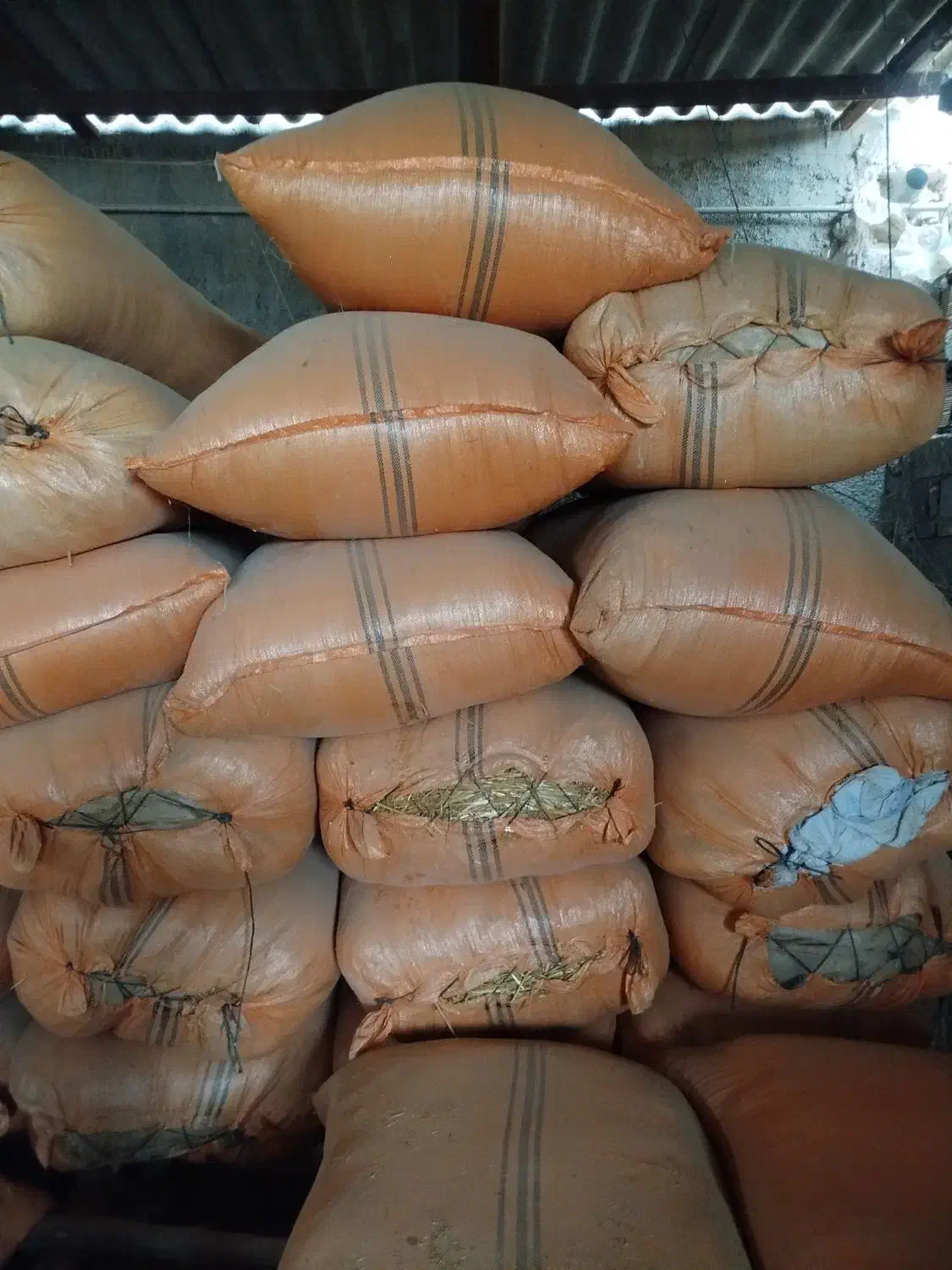 کاه|لوازم جانبی حیوانات|خان ببین, |دیوار