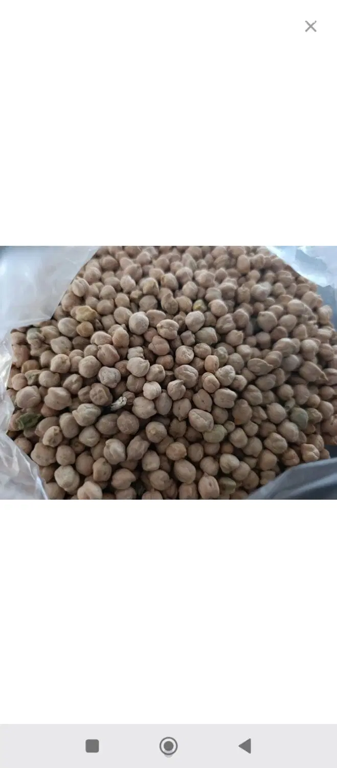 نخود|خوردنی و آشامیدنی|طرهان, |دیوار