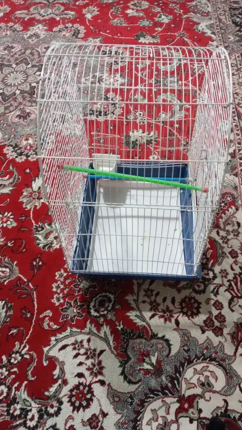 قفس|لوازم جانبی حیوانات|رشت, آب و برق|دیوار