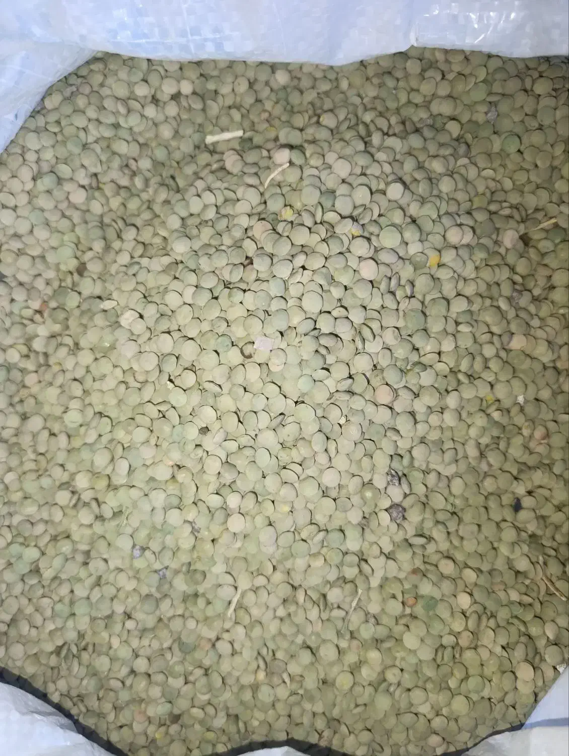 حبوبات|خوردنی و آشامیدنی|کوهین, |دیوار