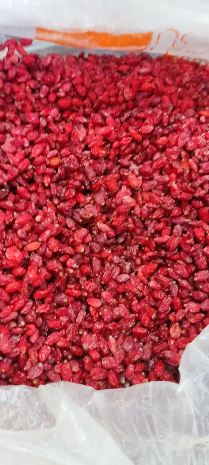 زرشک|خوردنی و آشامیدنی|مشهد, شهید بهشتی|دیوار