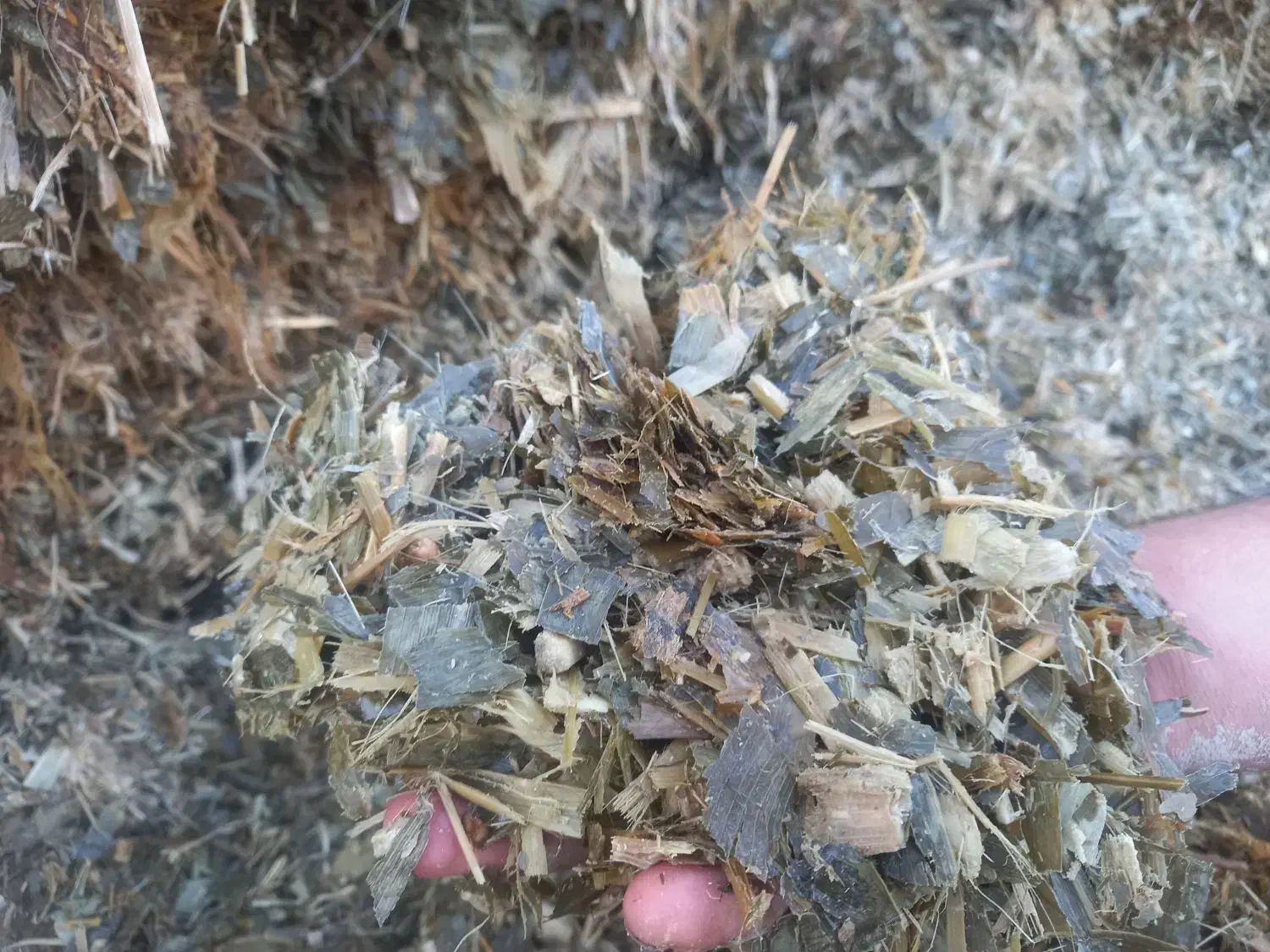 ذرت|لوازم جانبی حیوانات|اسفراین, |دیوار