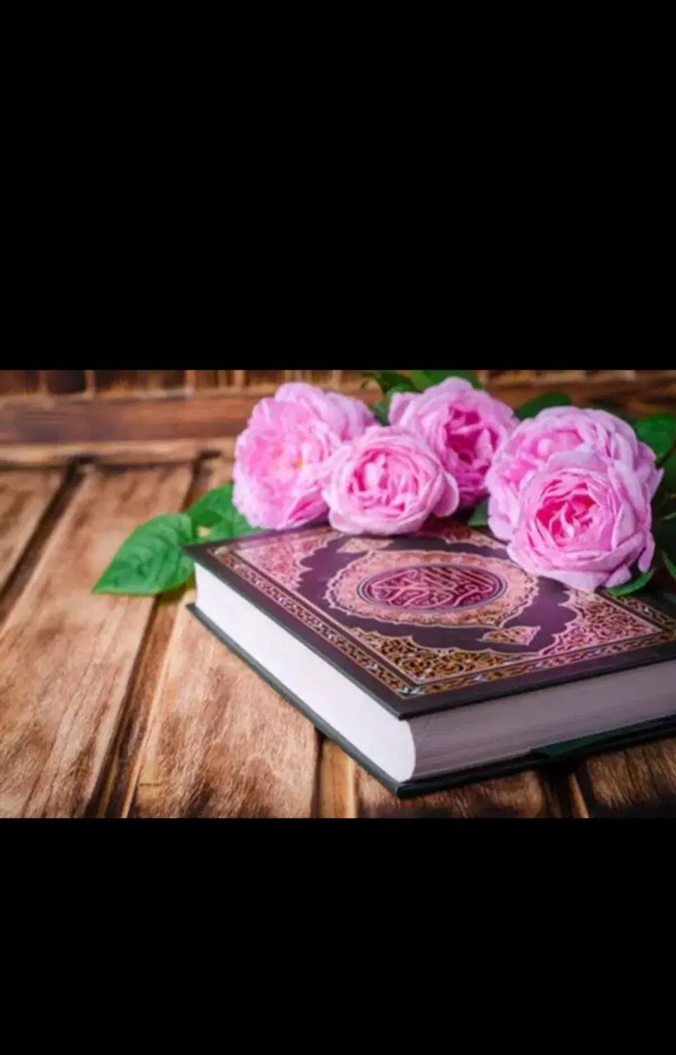 کلام خدا|کتاب و مجله مذهبی|گنبد کاووس, |دیوار