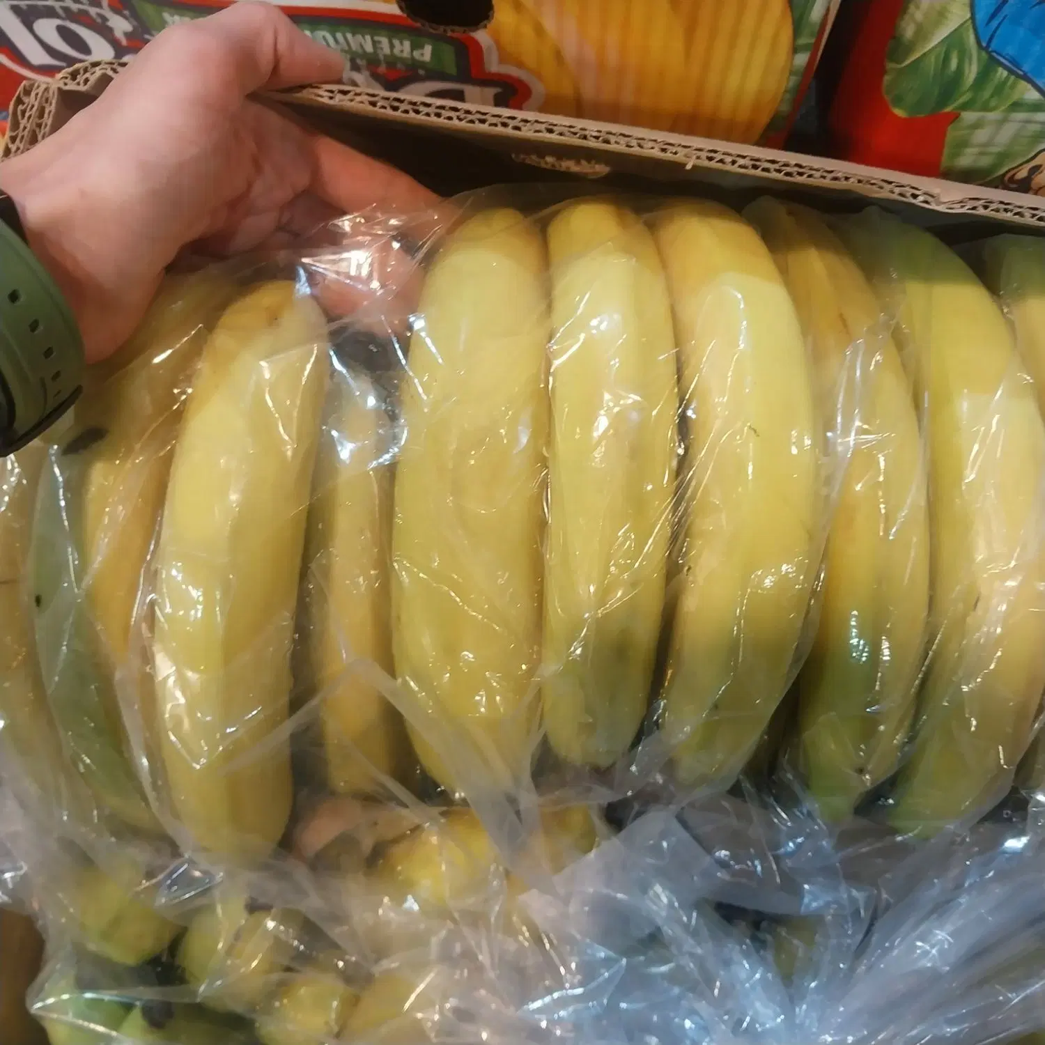 موز|خوردنی و آشامیدنی|تهران, میدان میوه و تره‌بار مرکزی|دیوار