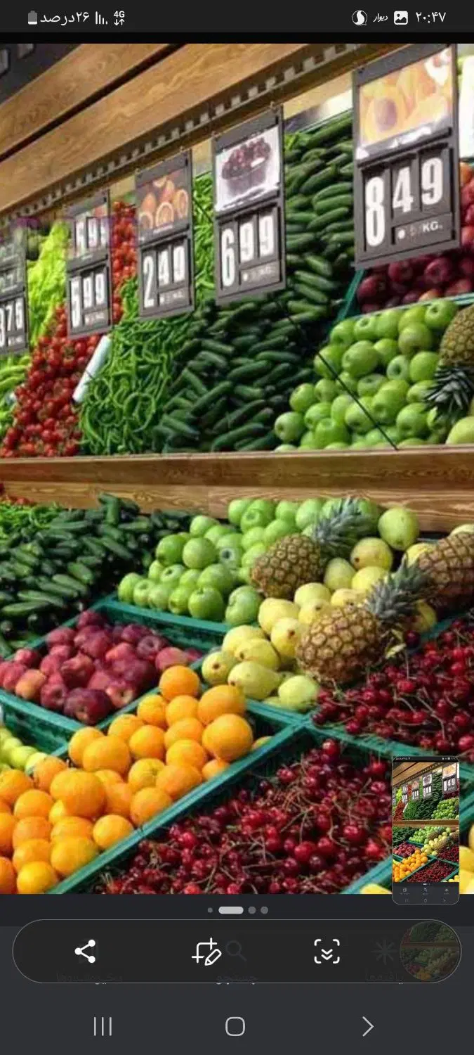 مغازه|اجارهٔ مغازه و غرفه|جهرم, |دیوار