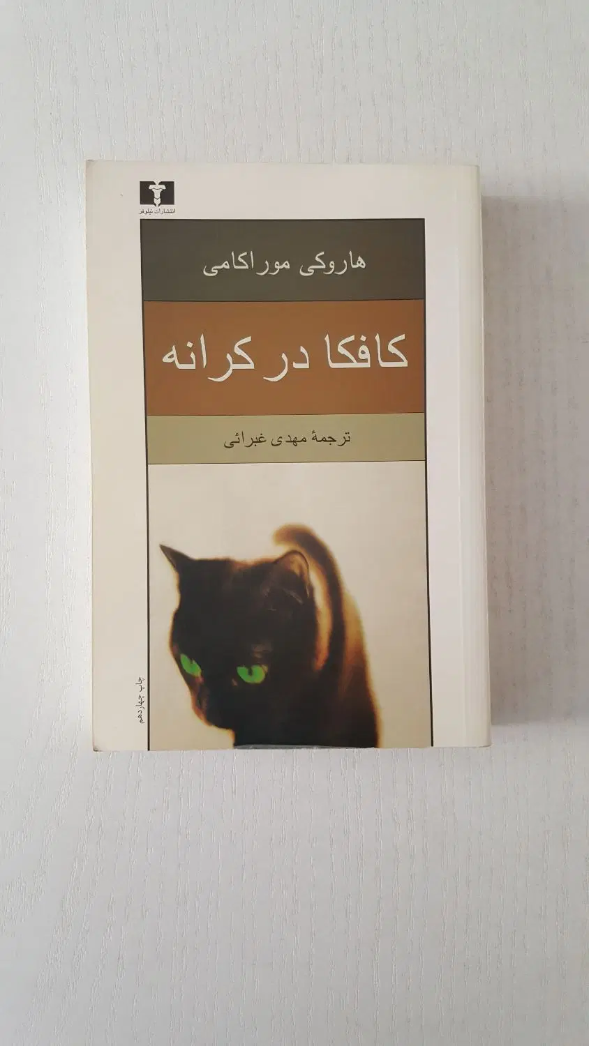رمان|کتاب و مجله ادبی|تهران, نصرت|دیوار