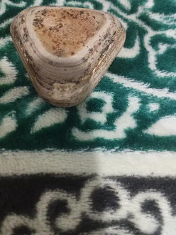 سنگ|جواهرات|اصفهان, چرخاب|دیوار