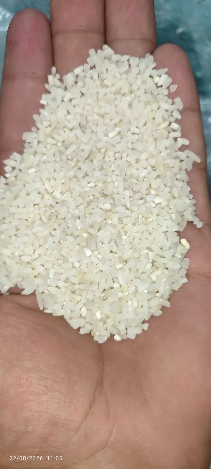 برنج|خوردنی و آشامیدنی|شادگان, |دیوار