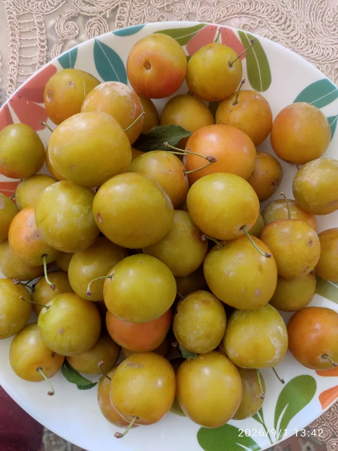 آلوچه|خوردنی و آشامیدنی|تبریز, |دیوار