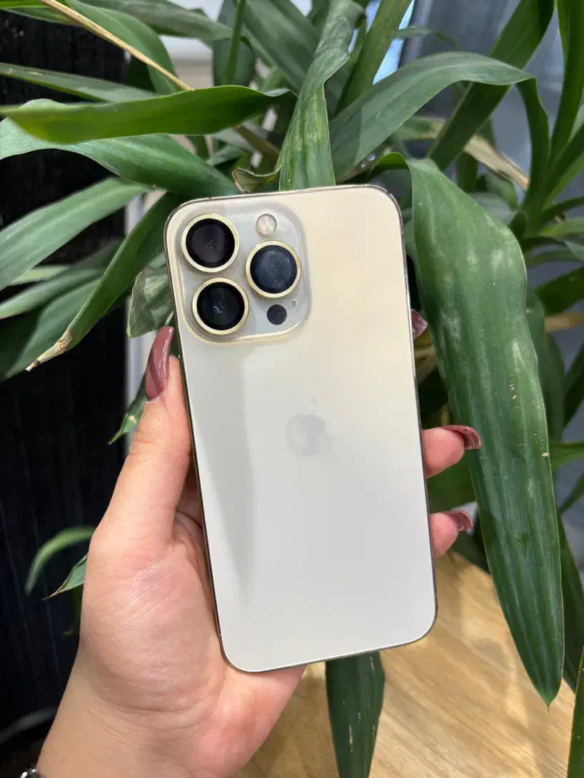 اپل iphone 13 pro|موبایل|تهران, گیشا|دیوار