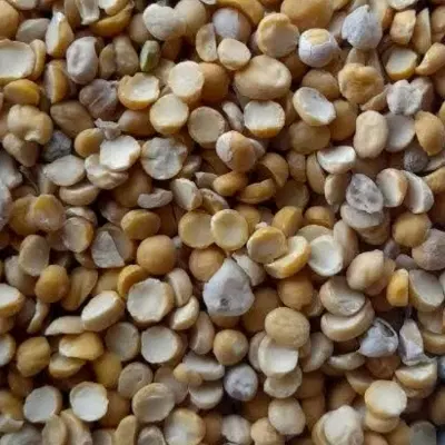 لپه|خوردنی و آشامیدنی|مرودشت, علی‌آباد‎|دیوار