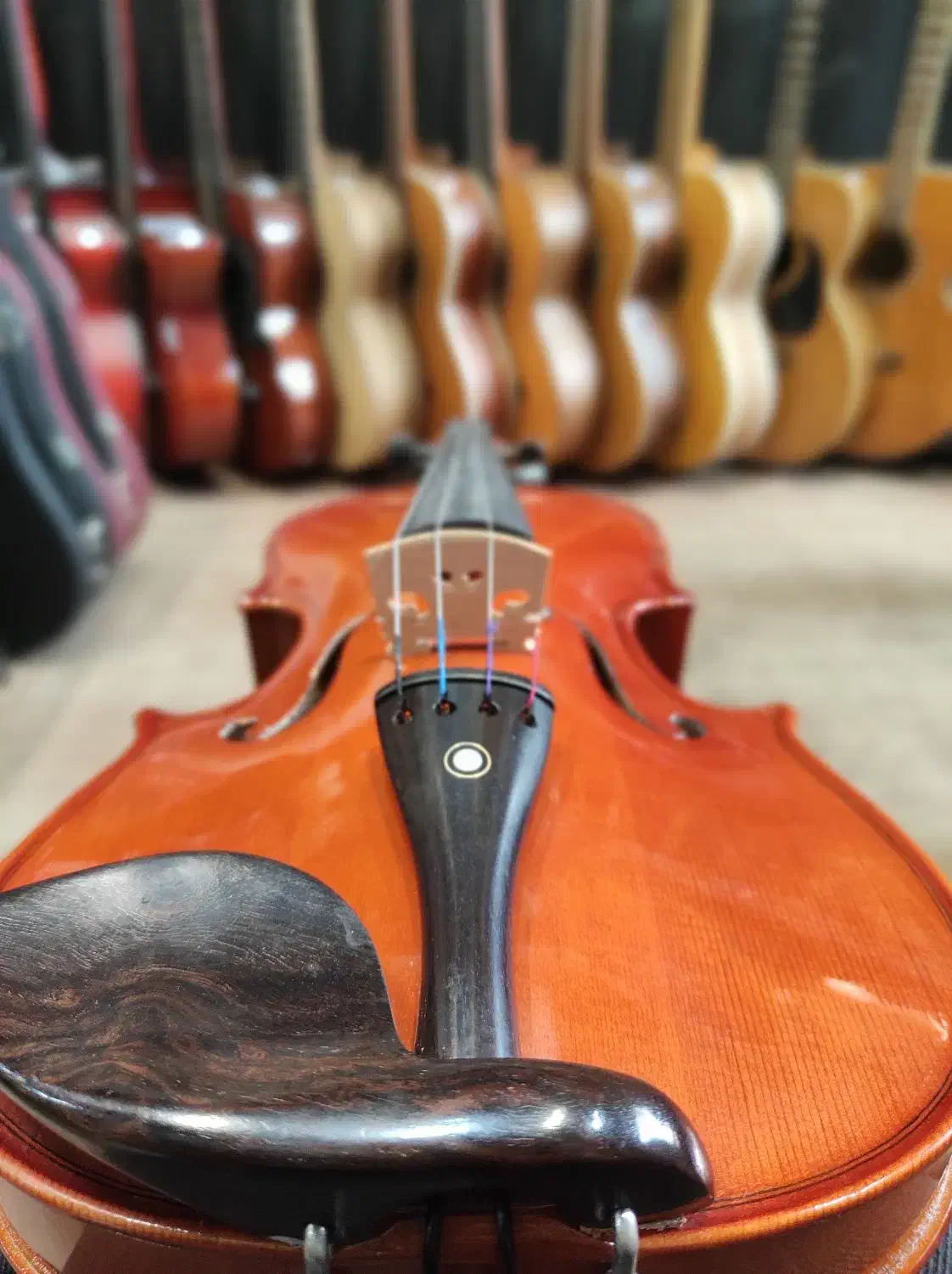 ویولن 3/4و2/4و1/4 پائلو مگینی ایتالیا|ویولن|لاهیجان, انقلاب|دیوار