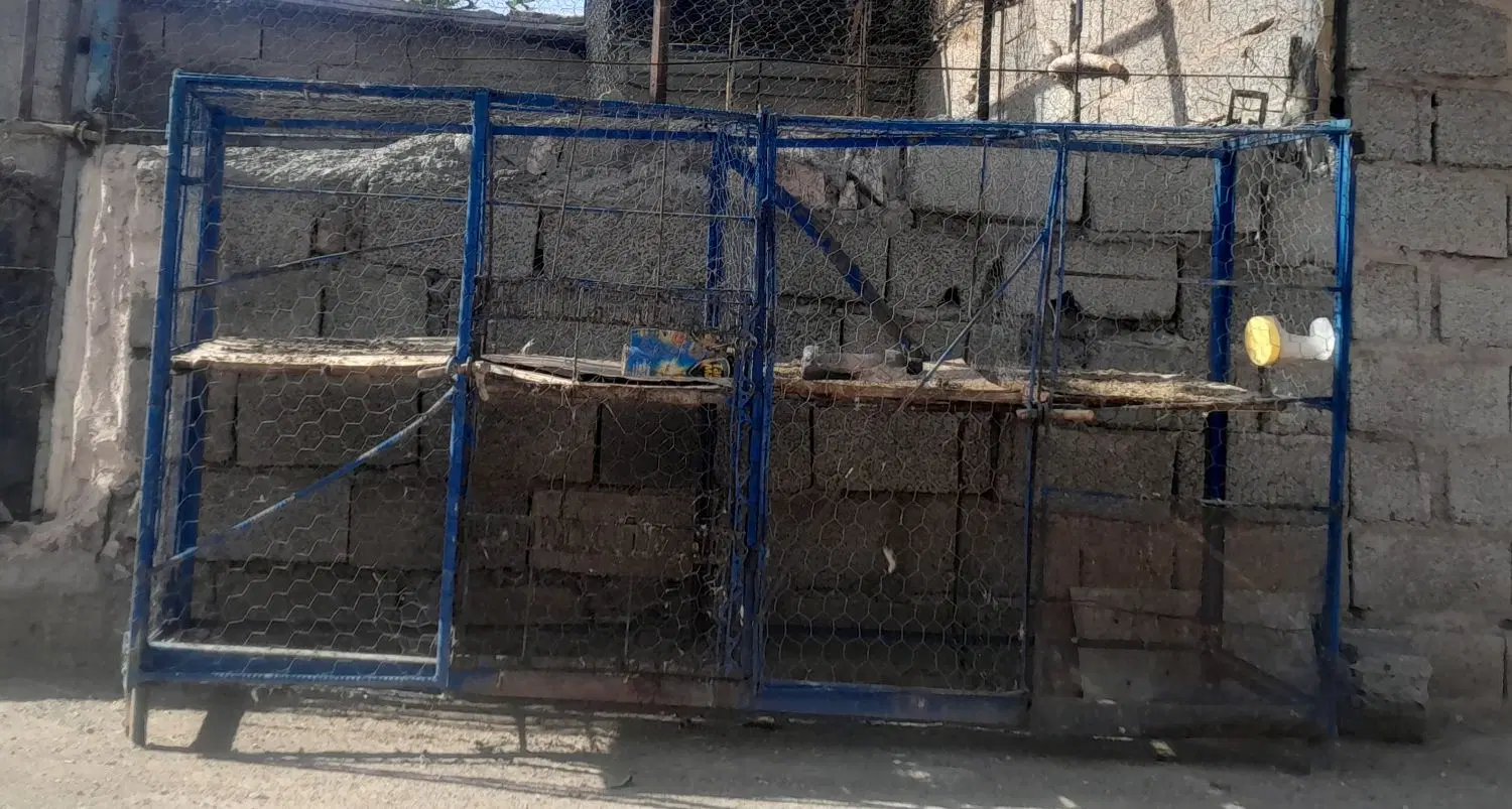 جفت کن|لوازم جانبی حیوانات|سیرجان, |دیوار