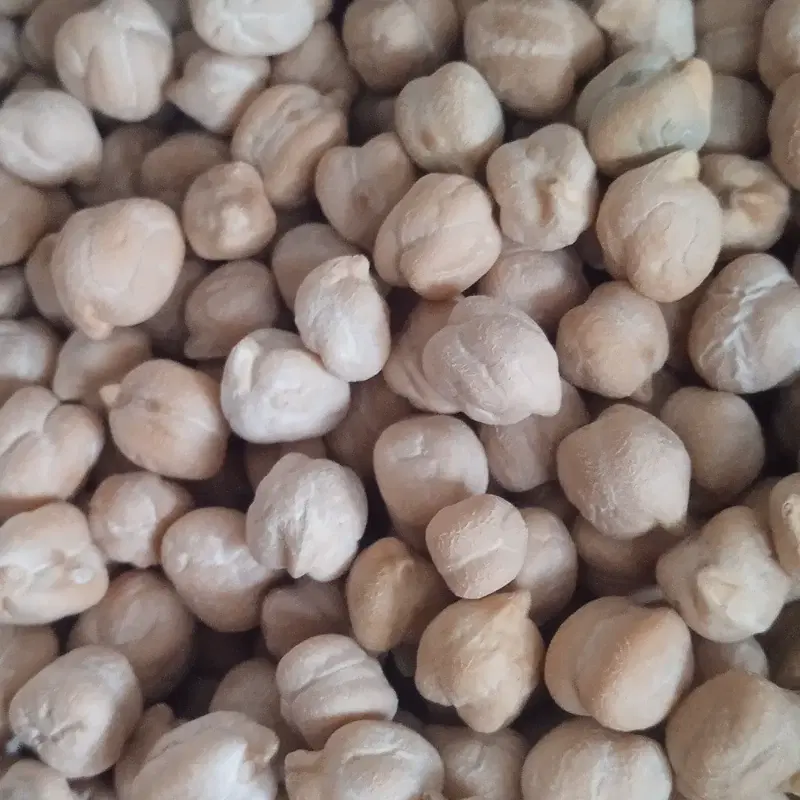 نخود|خوردنی و آشامیدنی|یاسوج, |دیوار