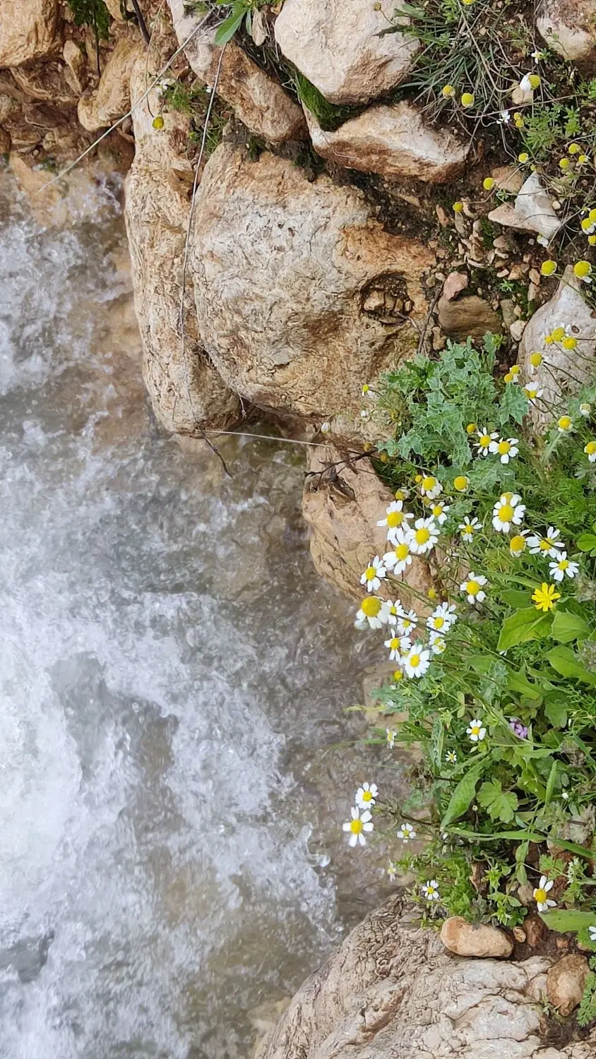 340|سیم‌کارت|چرداول, |دیوار