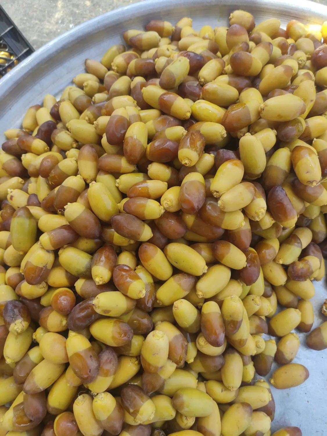 رطب|خوردنی و آشامیدنی|اهواز, شریعتی جنوبی|دیوار