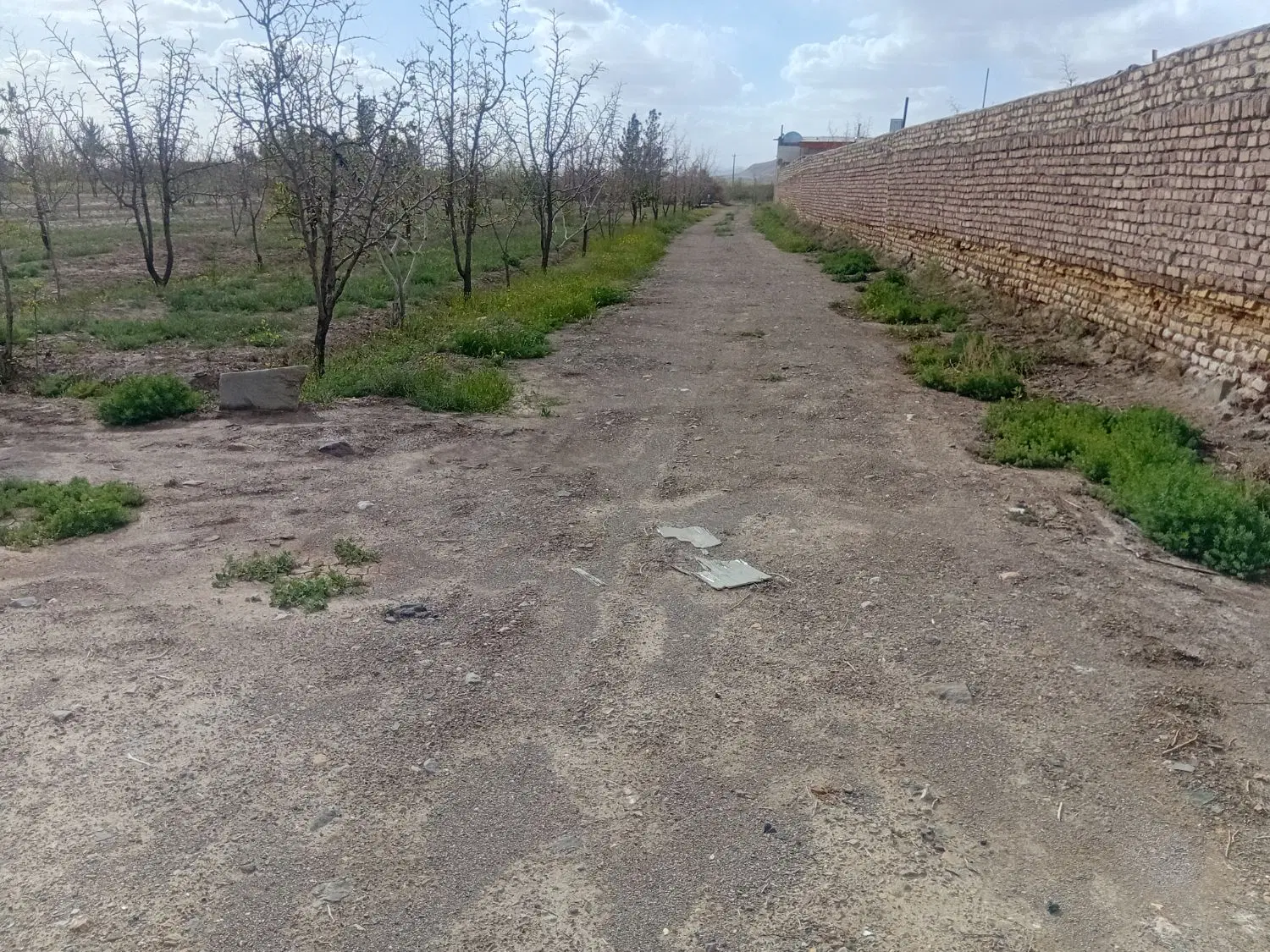 تصویر 2