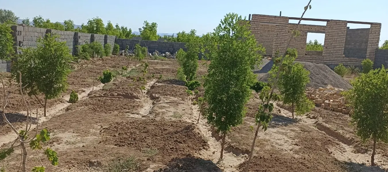 تصویر 3