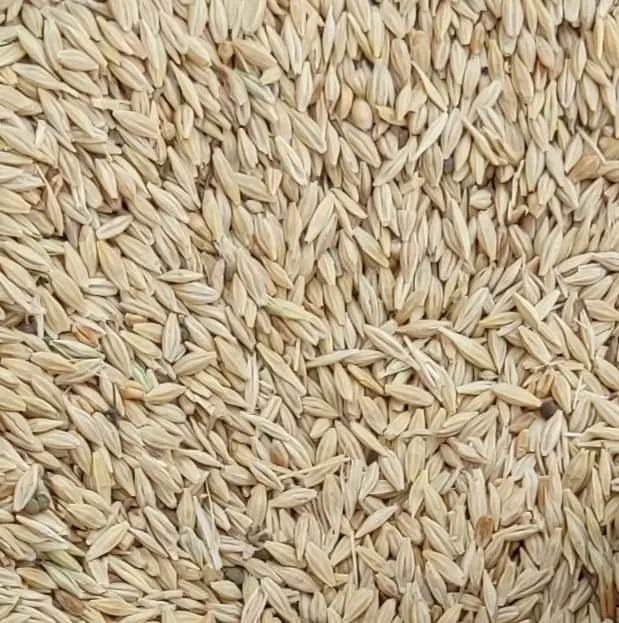 جو دیم|لوازم جانبی حیوانات|شیروان (خراسان), |دیوار