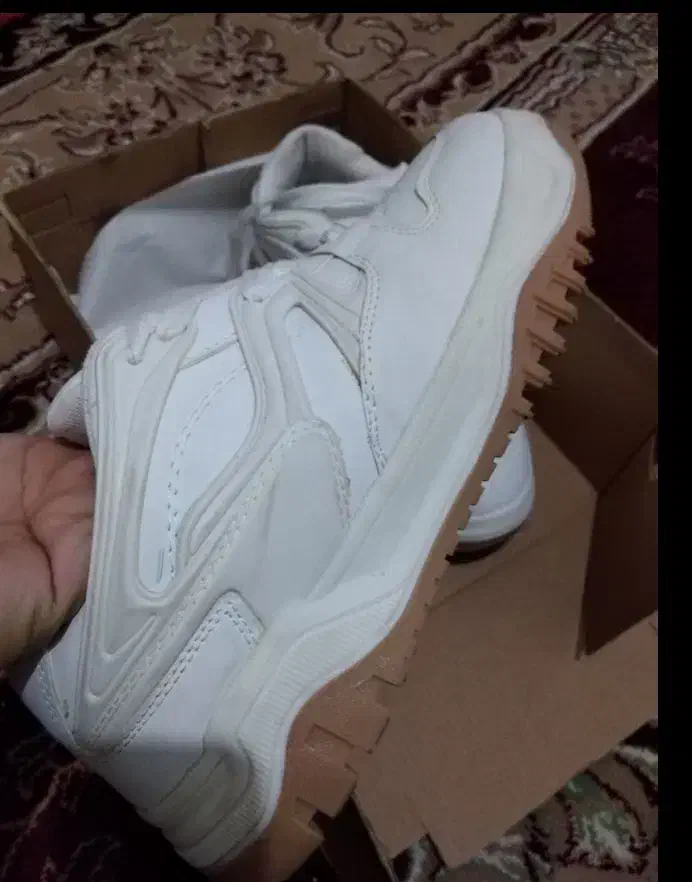 کفش نو|کیف، کفش، کمربند|اندیمشک, |دیوار