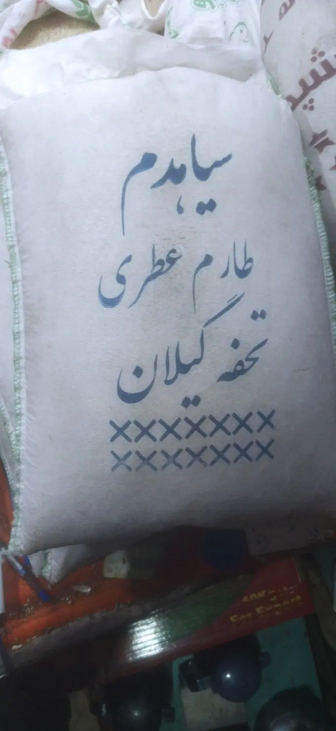برنج|خوردنی و آشامیدنی|تبریز, |دیوار