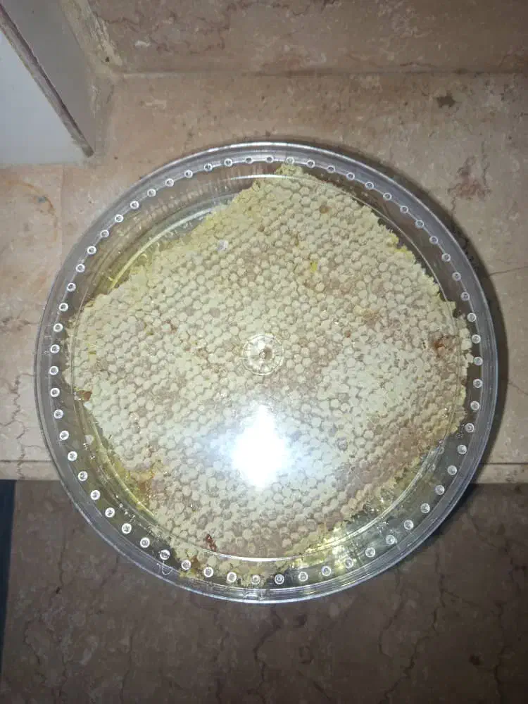 عسل مرغوب|خوردنی و آشامیدنی|پلدشت, |دیوار