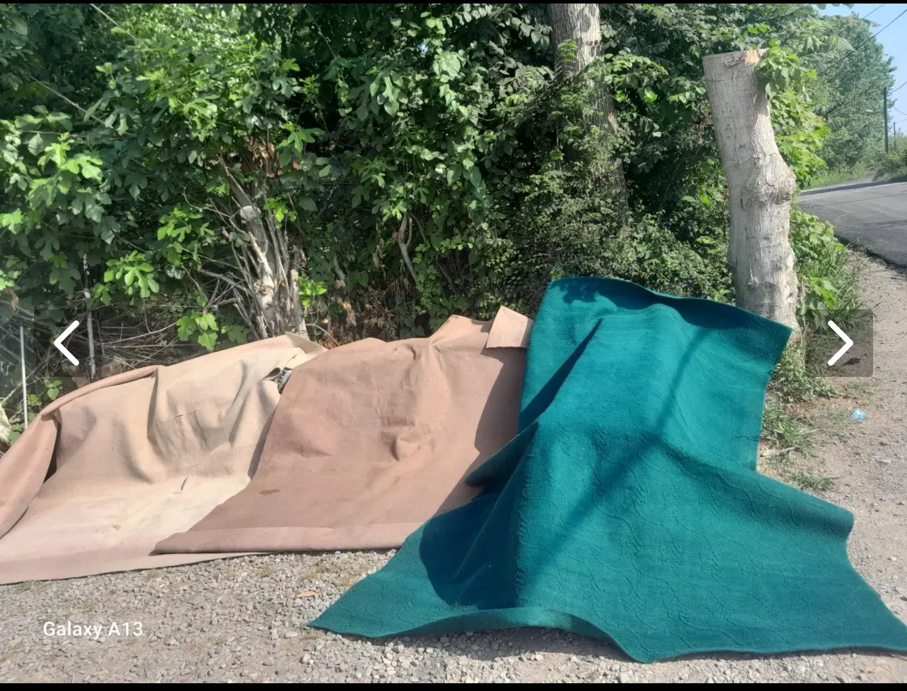 موکت|موکت|لشت نشا, |دیوار