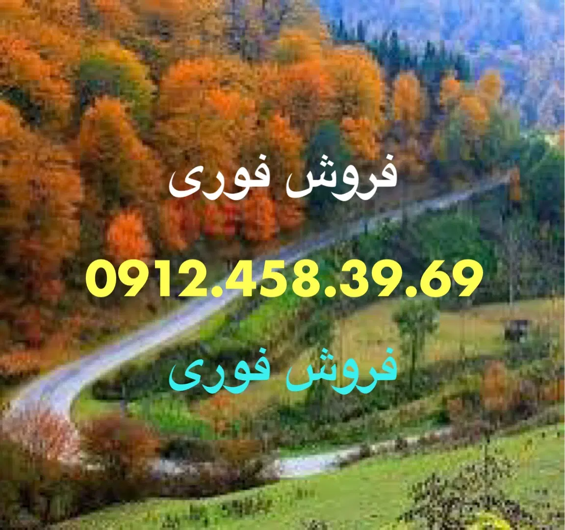 0912.458.39.69|سیم‌کارت|تهران, امیر بهادر|دیوار