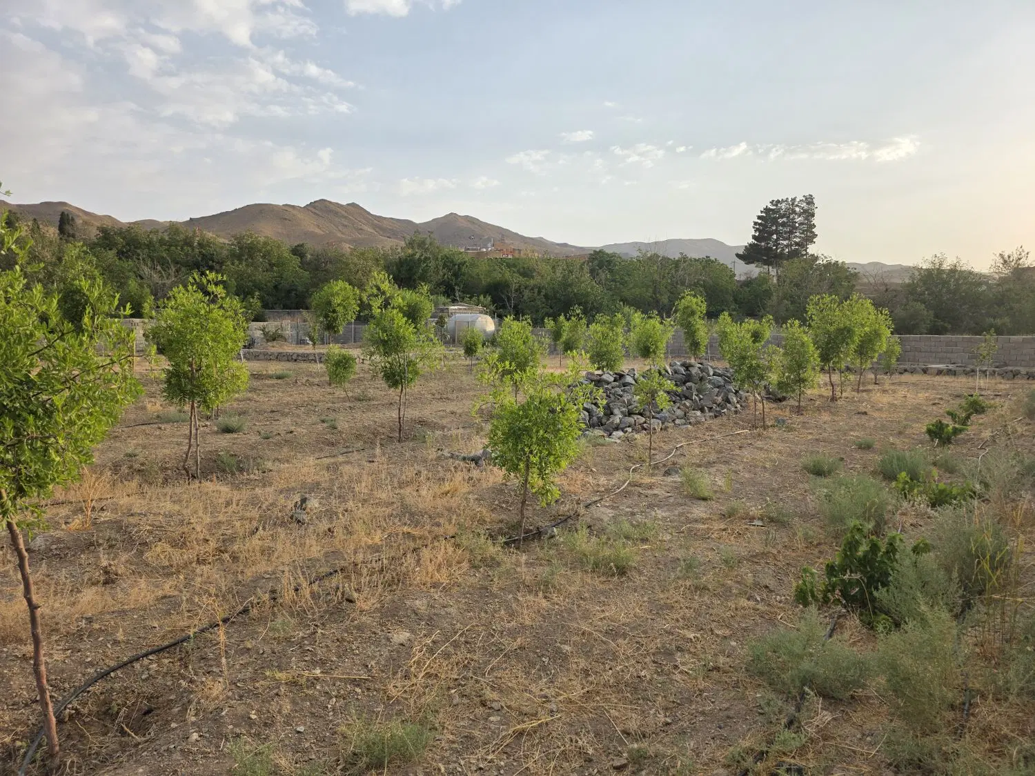 تصویر 4