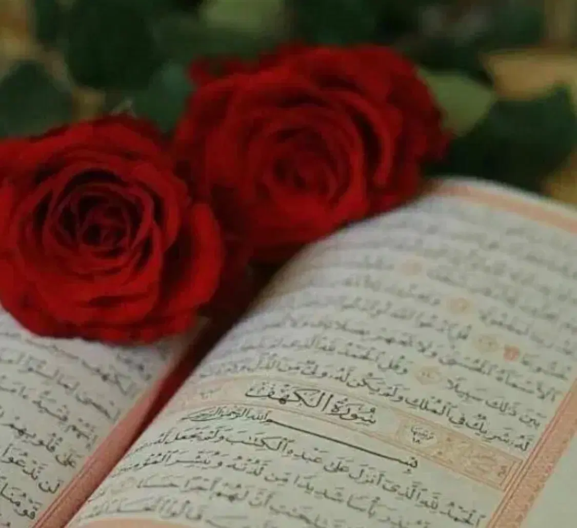 سرکتاب|کتاب و مجله مذهبی|تهران, آهنگ|دیوار
