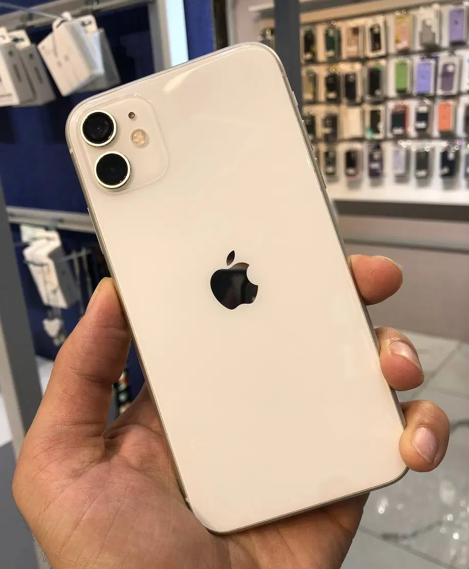 iphone 11 Normal|موبایل|بجنورد, |دیوار