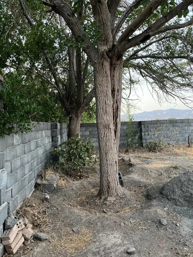 تصویر 11