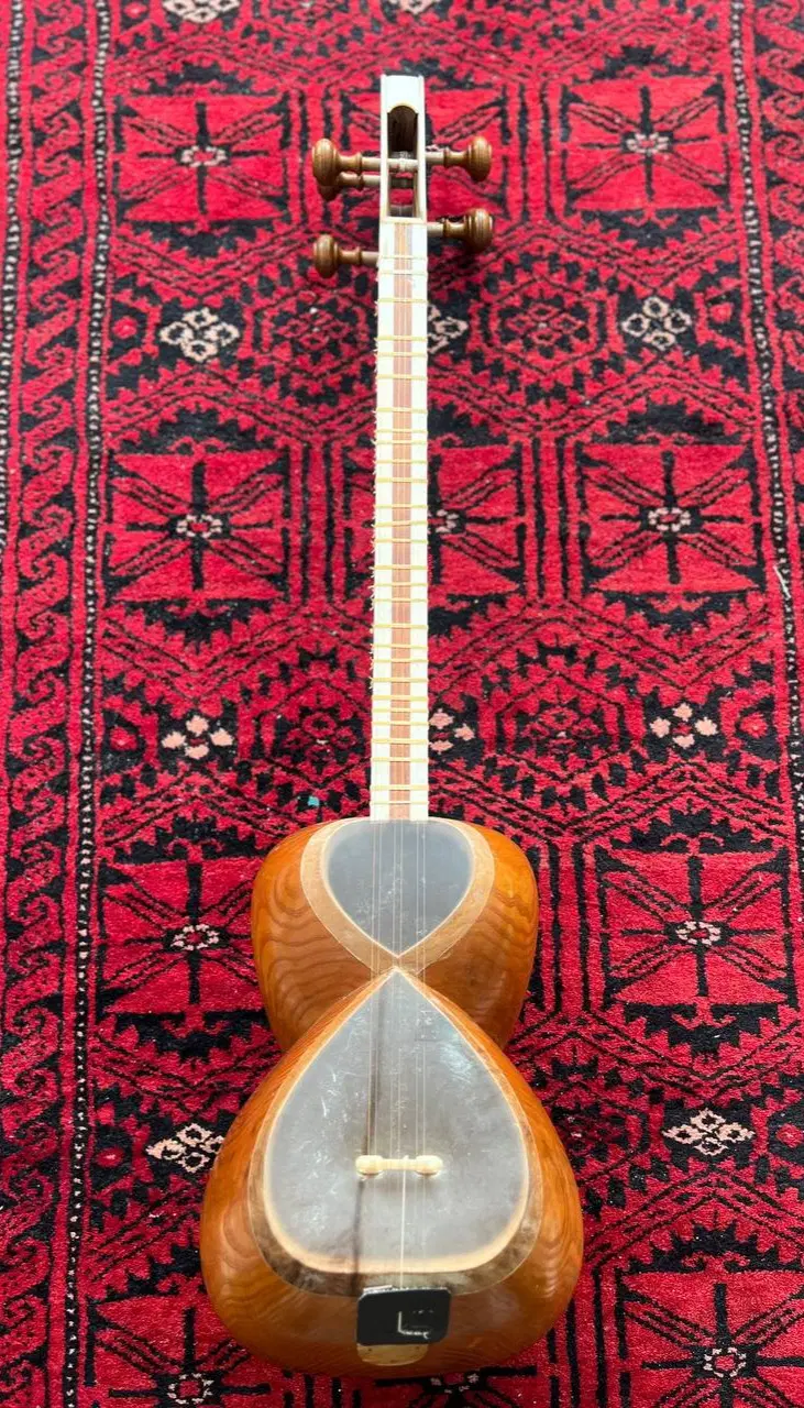 تار|سازهای سنتی|سبزوار, پیام|دیوار