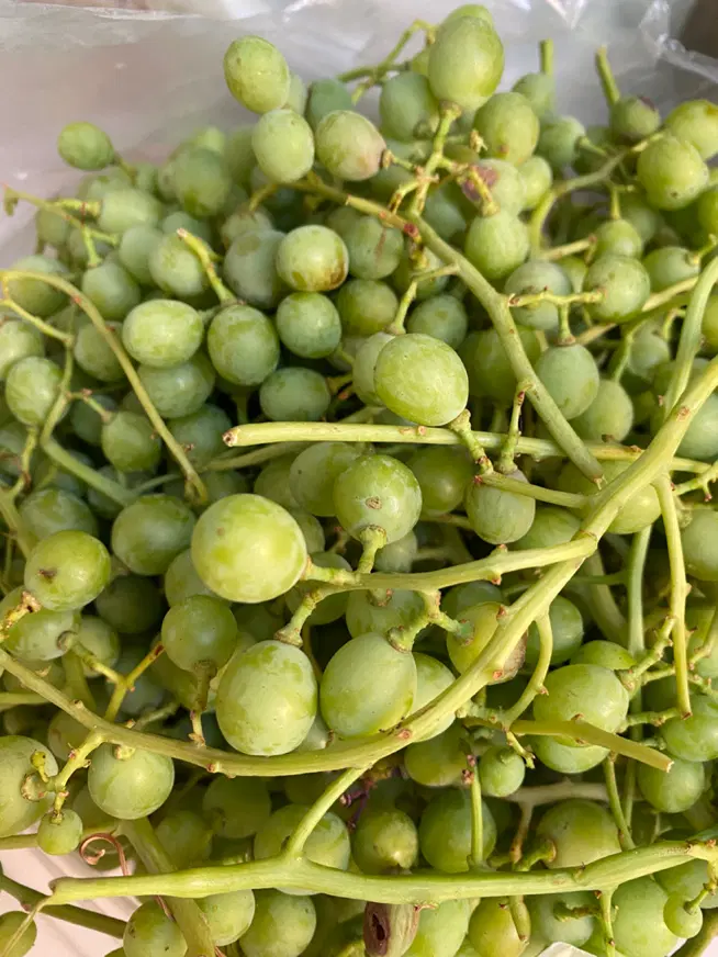 غوره|خوردنی و آشامیدنی|خوی, |دیوار