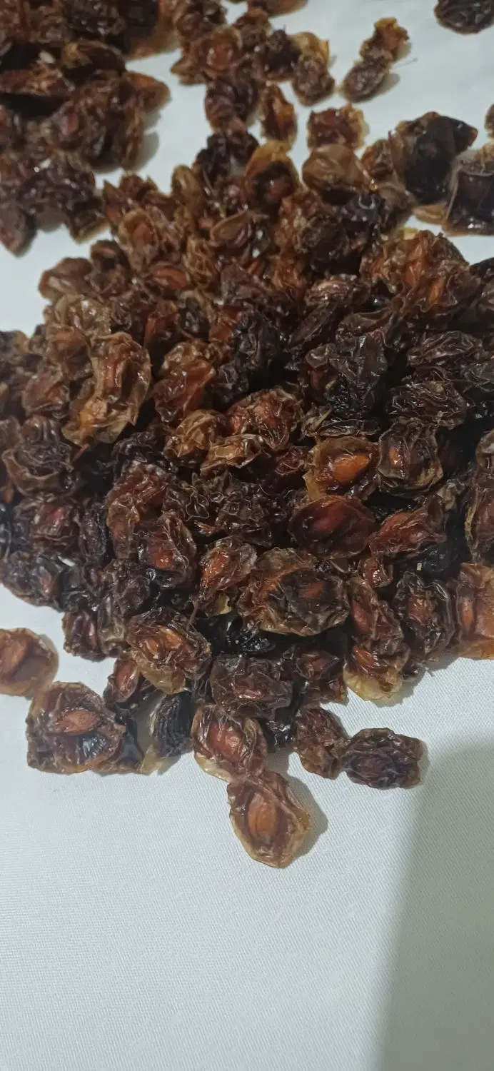 آلوچه|خوردنی و آشامیدنی|زنجان, |دیوار