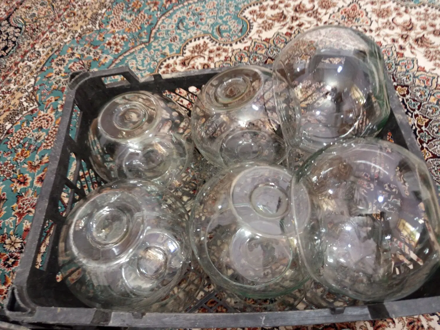 تنگ ماهی|ماهی|شیراز, شهرک قمشه|دیوار