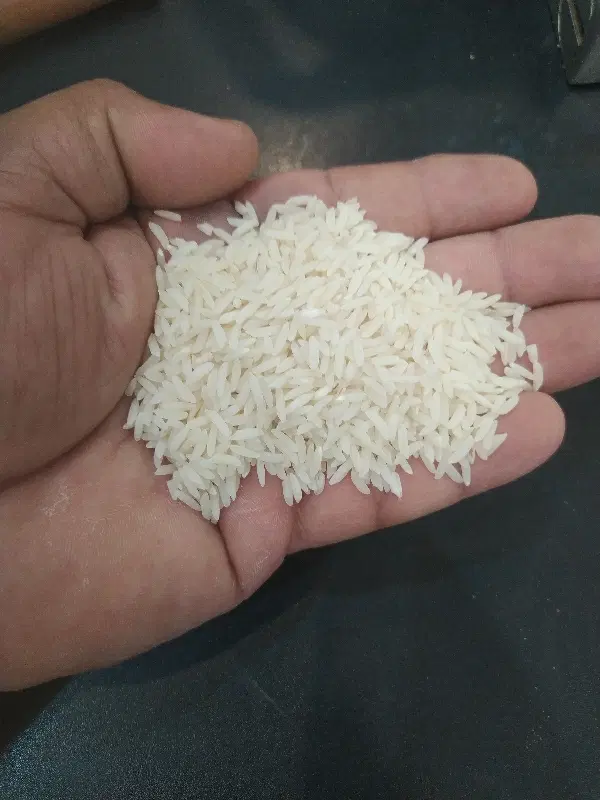برنج|خوردنی و آشامیدنی|محمودآباد, |دیوار