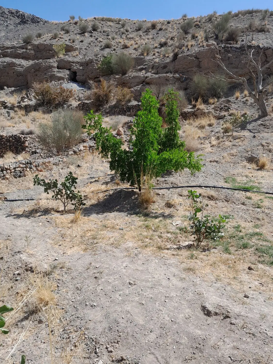 تصویر 3